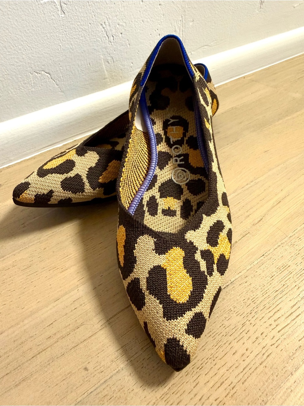 Rothy’s Big Cat The Point ballet flats